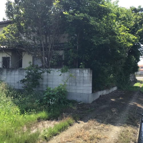 草木が伸び放題の空き家